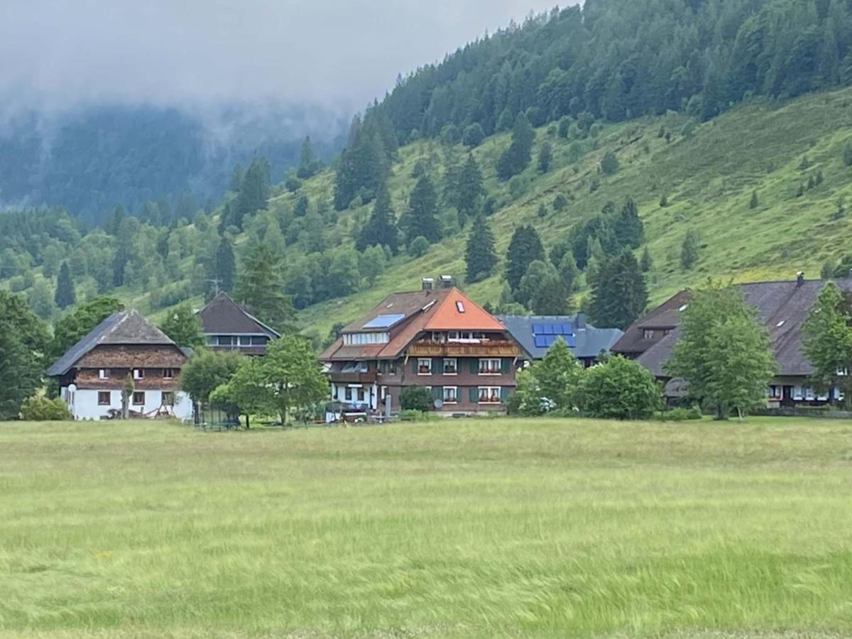 Gaestehaus Kaiser Menzenschwand Ngoại thất bức ảnh